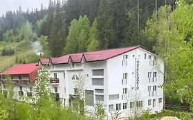 Hotel Nou Codrin